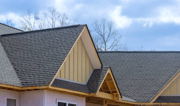 Best Skylight Installation and Repair  in Fort Mckinley, OH
