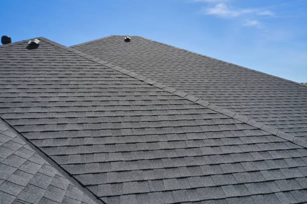 Best Roof Coating and Sealing  in Fort Mckinley, OH